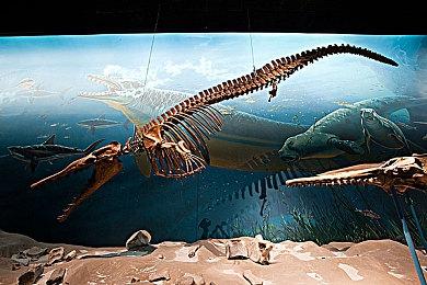 EA财报透露《龙腾世纪：恐狼》将在明年3月前推出