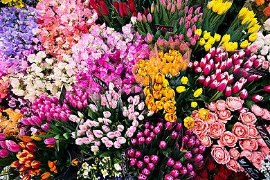 《生化变种》11月30日登陆任天堂Switch